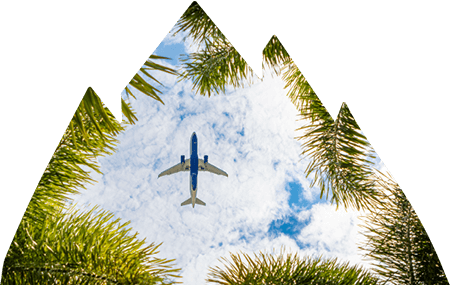 View of airplane flying amongst clouds through trees.