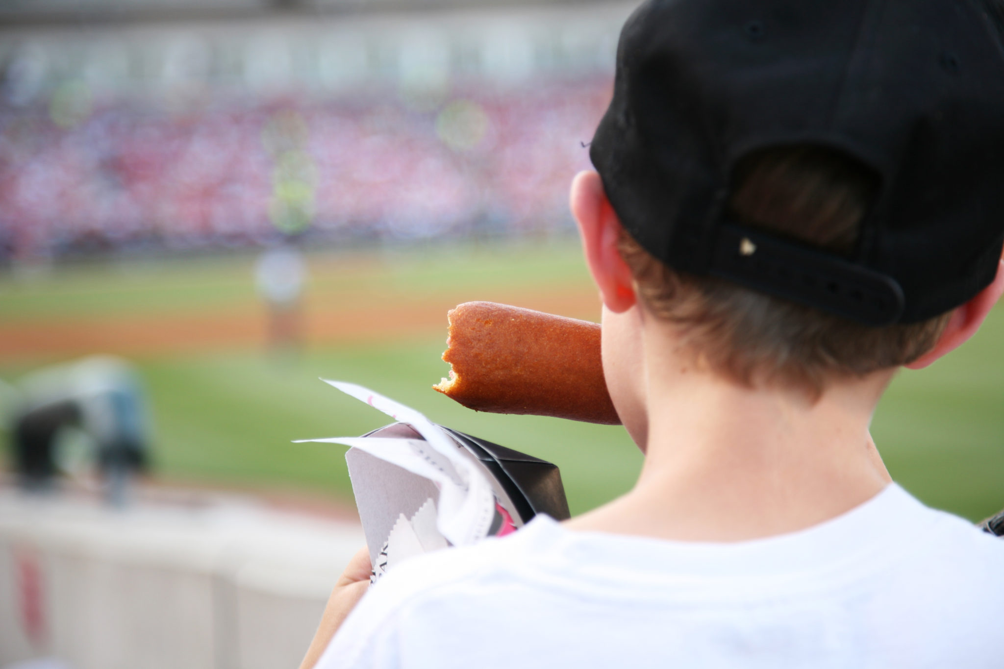 Boy eating corn dog at Baseball game