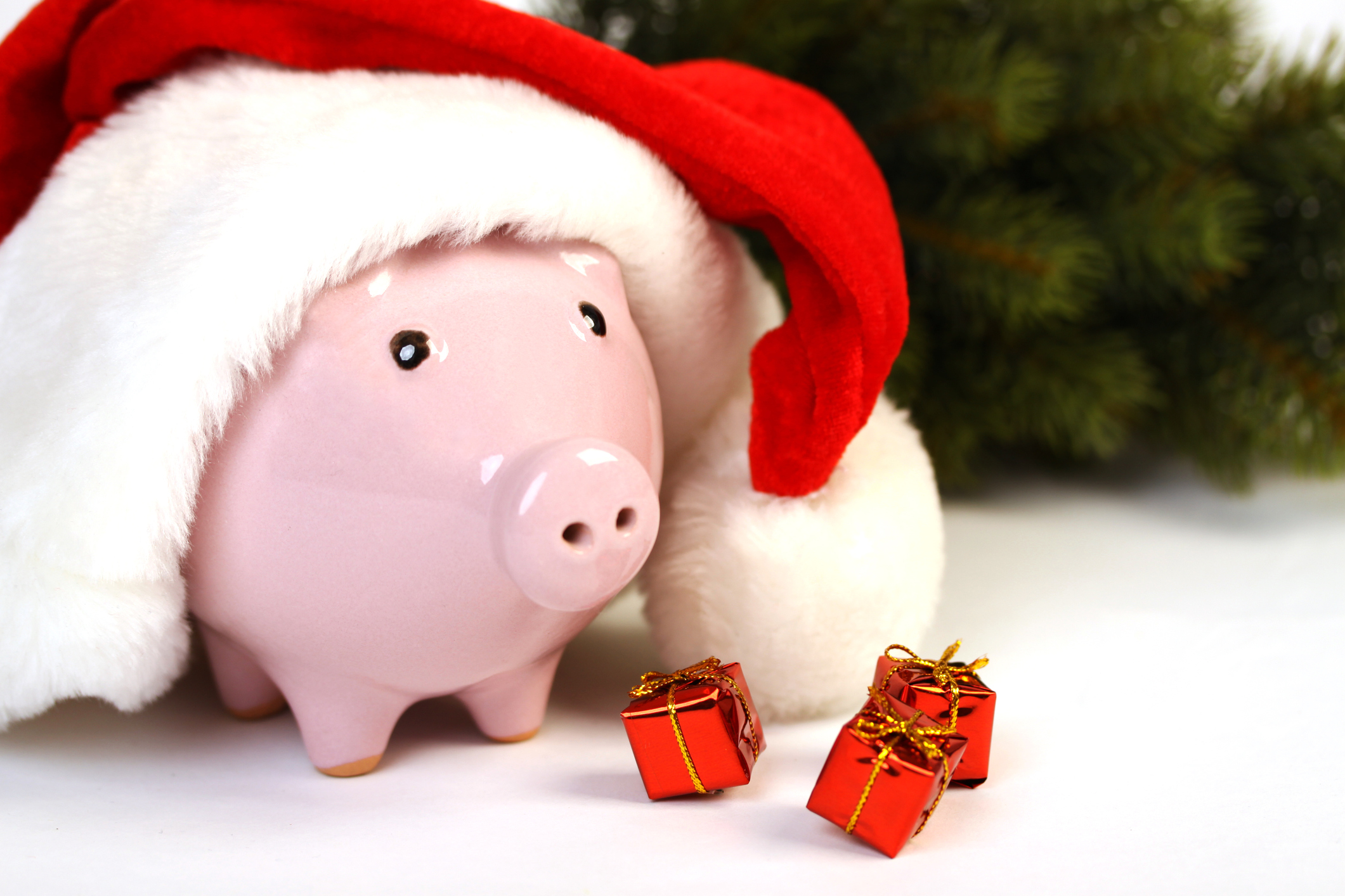 Piggy bank with santa hat