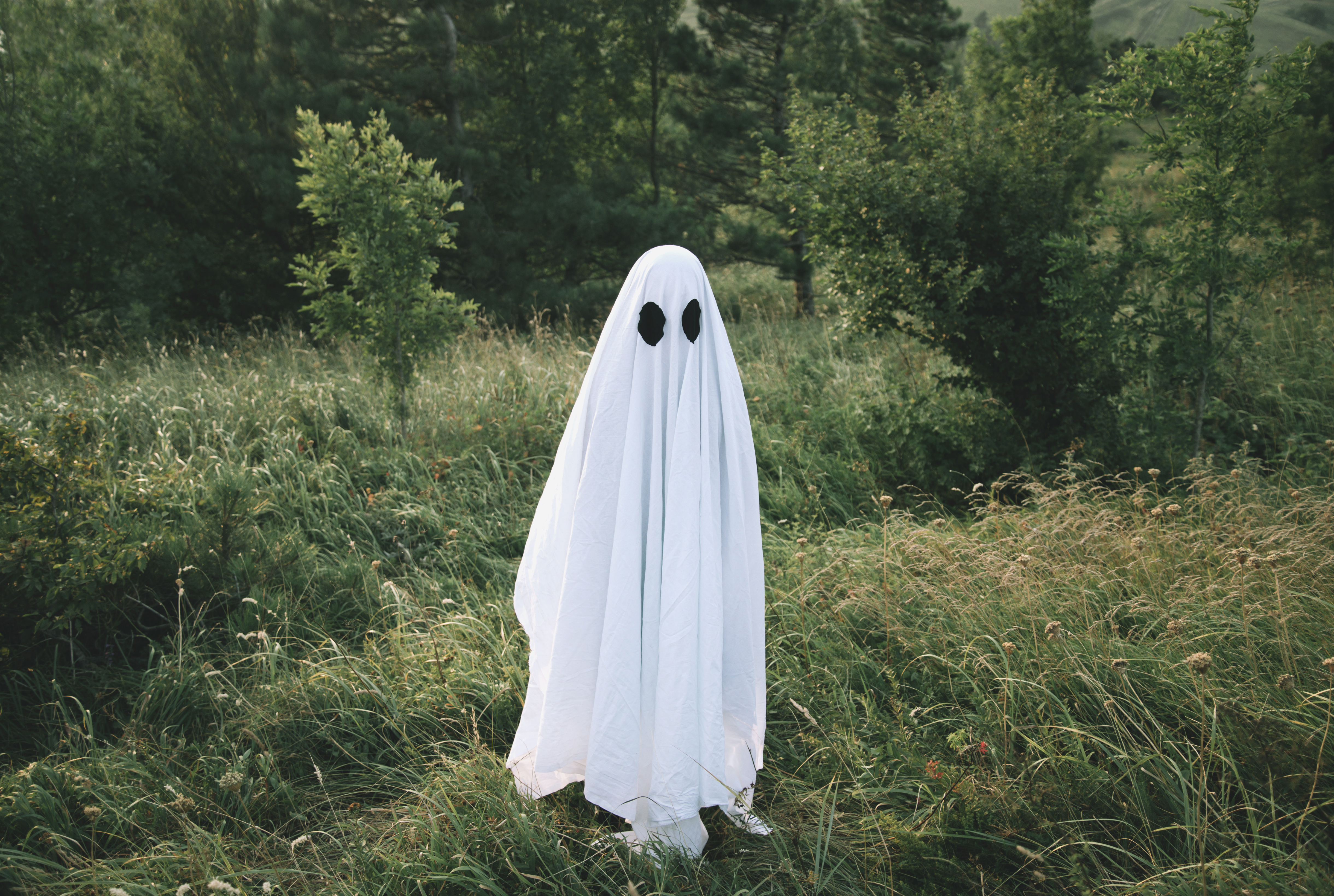 person dressed as a ghost